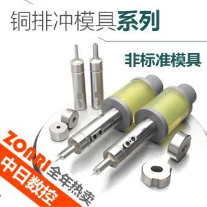 數控沖模銅排沖模具高速鋼材質(zhì)廠(chǎng)家包郵